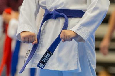 Osnovan Karate centar Nippon